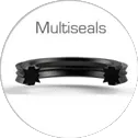 multiseals