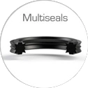 multiseals
