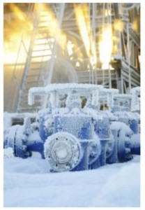 Low Temperature Seals Application