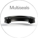 multiseals